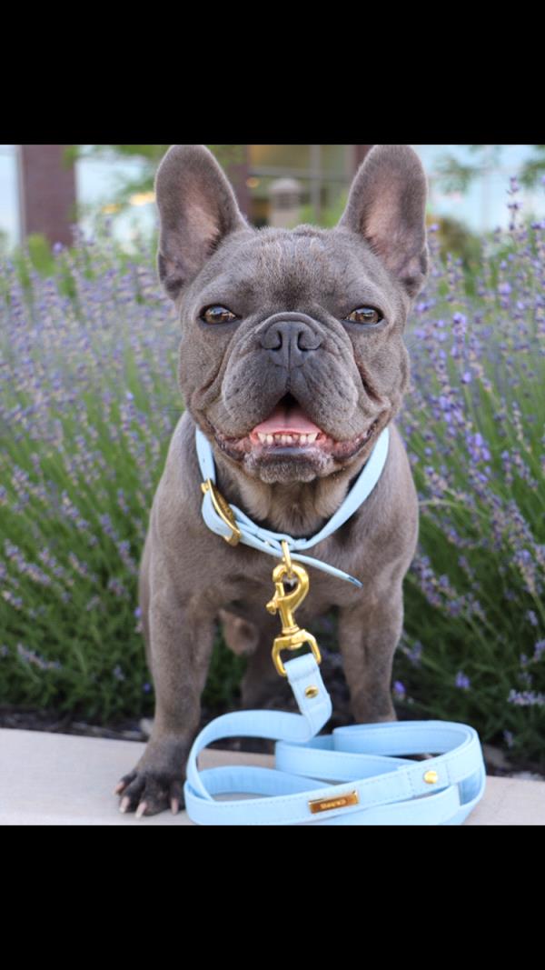 /Images/uploads/Humane Society of Utah/HSUCalendar/entries/1630thumb.jpg